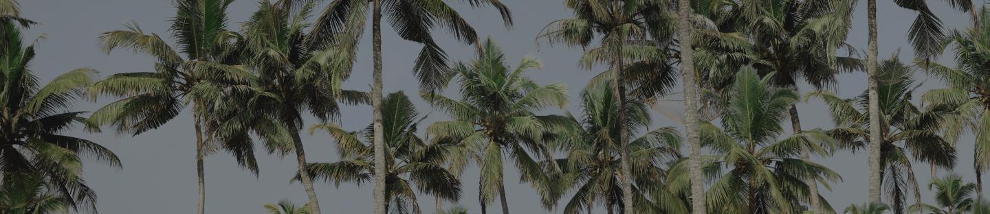 Article Landing Page Banner